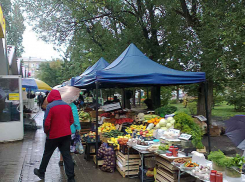 С наступлением похолодания в Камышине стали дорожать овощи и бахчевые