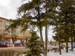 «Молодые люди пускали салют: с лёгкостью их можно найти по камерам «Пятерочки» и наказать», - камышанка