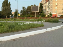 Камышане предположили, что сорную траву, которой зарос город, уберут к Арбузному фестивалю