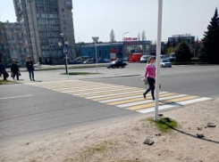 В Камышине будут обновлены свежей краской 60 пешеходных переходов