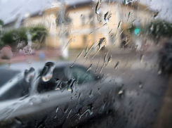 Синоптики выдали для Камышина прогноз на дождь, который должен начаться с минуты на минуту