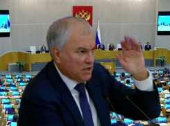 Под Володиным зашаталось кресло? - волгоградский политолог объяснил, что стоит за его запретом для журналистов вести фотосъемку заседаний Госдумы 