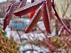 Слякоть, туман и дождь сменятся легким морозцем 4 декабря в Камышине