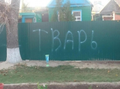 «Тварь»: забор депутата в Волгоградской области «украсили» надписью, - «Блокнот Волгограда»