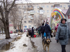 Выселение собак с «территорий людей» властям Камышина надо начинать с рынка у «Победы», - камышанка