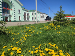 Камышанам-путешественникам неожиданно повезло: они могут уехать в Санкт-Петербург напрямую из Петрова Вала