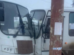 В Камышине в паблике появилось фото муниципальных автобусов, столкнувшихся лоб в лоб на «Молодежке»