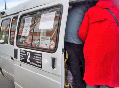 Получается, администрация прилагает все усилия, чтобы оставить жителей Камышина без достойного маршрутного сообщения в городе? - новое письмо губернатору