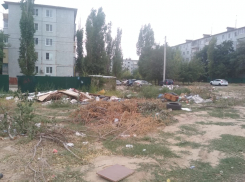 Господа из конторы по вывозу мусора, а не хотите ли совершить экскурсию по дворам с кучами отходов? - камышанка