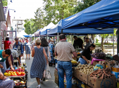 Роспотребнадзор «распорядился», чтобы камышане в августе ежедневно съедали 400 граммов овощей и фруктов