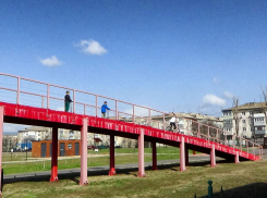 «Товарищи из администрации, проверьте тросовые перила на красном мосту в парке Текстильщиков!» - камышанка