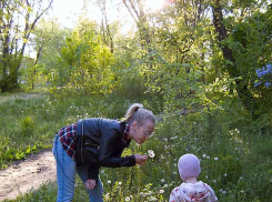  Трое  камышан пополнили ряды заболевших коронавирусом сегодня, 11 мая