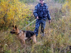 В селе Камышинского района после школы два подростка не вернулись домой и ночевали под кустом