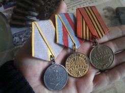 Накануне Дня защитника Отечества молодые негодяи выкрали на продажу награды солдата Великой Отечественной