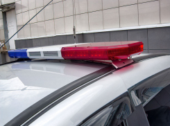 Замуправляющего «Покупочки» пошел на кражи «по месту работы», в своем магазине