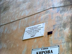 Стена дома такая облезлая, что памятную доску известному камышанину и размещать на ней стыдно, - камышанка