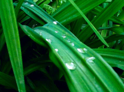 Синоптики предупредили камышан, что город накроют ливни