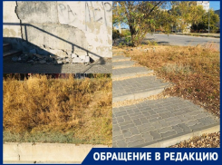 «Нескошенная трава, раскиданные листья»: камышане просят  убрать мусор в городе