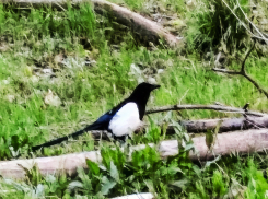 Украинские беспилотники атаковали соседний с Камышинским - Ольховский район сегодня, 30 апреля