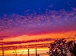 Какую программу наметили в Камышине для «Ночи искусств»