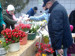 В Камышине продолжается бал тюльпанов по случаю Женского дня