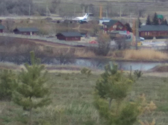 В Камышине постепенно поднимается «полицейский» хвойный парк на третьем городке