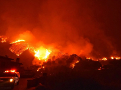 В селе Лебяжьем Камышинского района сожгли 110 свиней из-за африканской чумы