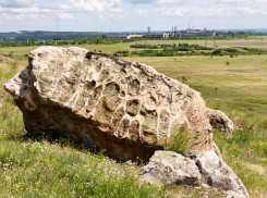 Неспокойную ночь пережили камышане