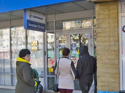 В открытом доступе появился список всех организаций и ИП Камышина, которые могут открыться и работать