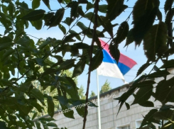 Пользователи соцсетей обнаружили триколор на здании школы в Камышине, укрепленный «вверх ногами»