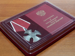 Семьям погибших участников СВО из Камышинского района передали ордена Мужества