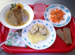 Администрация Камышина обещает оплатить неделю пребывания учащихся в школьном лагере с завтраком и обедом