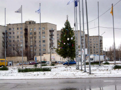 В Камышине установили елку на площади Героя России Александра Колгатина