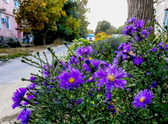 Стало известно, где в Камышине будут отключать свет завтра, 10 сентября