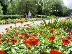 Свежо и солнечно: погода в Камышине на 4 сентября