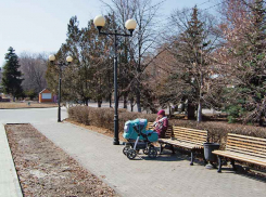 +12 обещают синоптики в субботу в Камышине - перед похолоданием с дождями