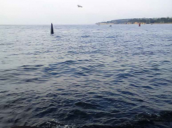 Глава Камышина Станислав Зинченко издал важное постановление на канализационную тему