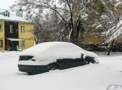 Молодой камышанин «купил» за 700 тысяч иномарку-призрак и фейковый отчет о том, что она погружена в автовоз, - не получил ничего