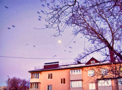 Морозно и ветрено: погода в Камышине в воскресенье 28 января