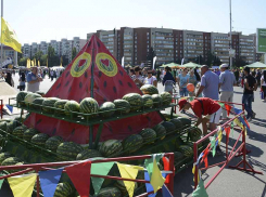 Зачем камышинские арбузы срочно «выезжают» в Калужскую область