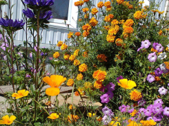 Камышан ожидает райское воскресенье - солнце и летнее тепло