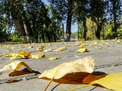 В Камышине после жары резко повеяло поздней осенью