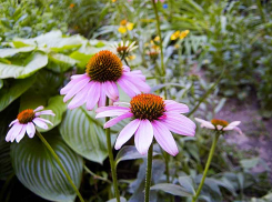 Раскрыты подробности об истории болезни и кончины 133-й и 134-й жертв коронавируса, один погибший камышанин