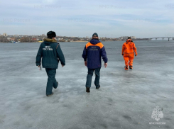 Спасатели «не выдержали» массовки рыбаков под названием «Чехонь» на Камышинке и выдвинулись на лед