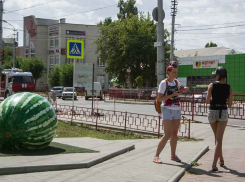 Вместо шествия по мосту и театрализованного карнавала камышанам придется отмечать Арбузный фестиваль селфи у памятника «полосатику» 