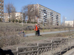 Стало известно, какие общественные пространства предстоит «отправлять» камышанам на первоочередную реновацию
