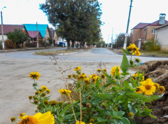 Прохладный, но солнечный день прогнозируют синоптики в Камышине сегодня, 14 октября