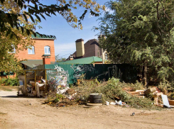 Кто сказал, что в Камышине стал регулярно вывозиться мусор? - камышанин