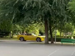 Московская блогерша заехала в Волгограде в парк на желтом кабриолете (ВИДЕО)