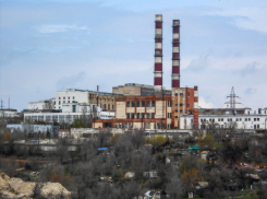 «Холодина дома - можно было бы и подтопить!» - камышанка